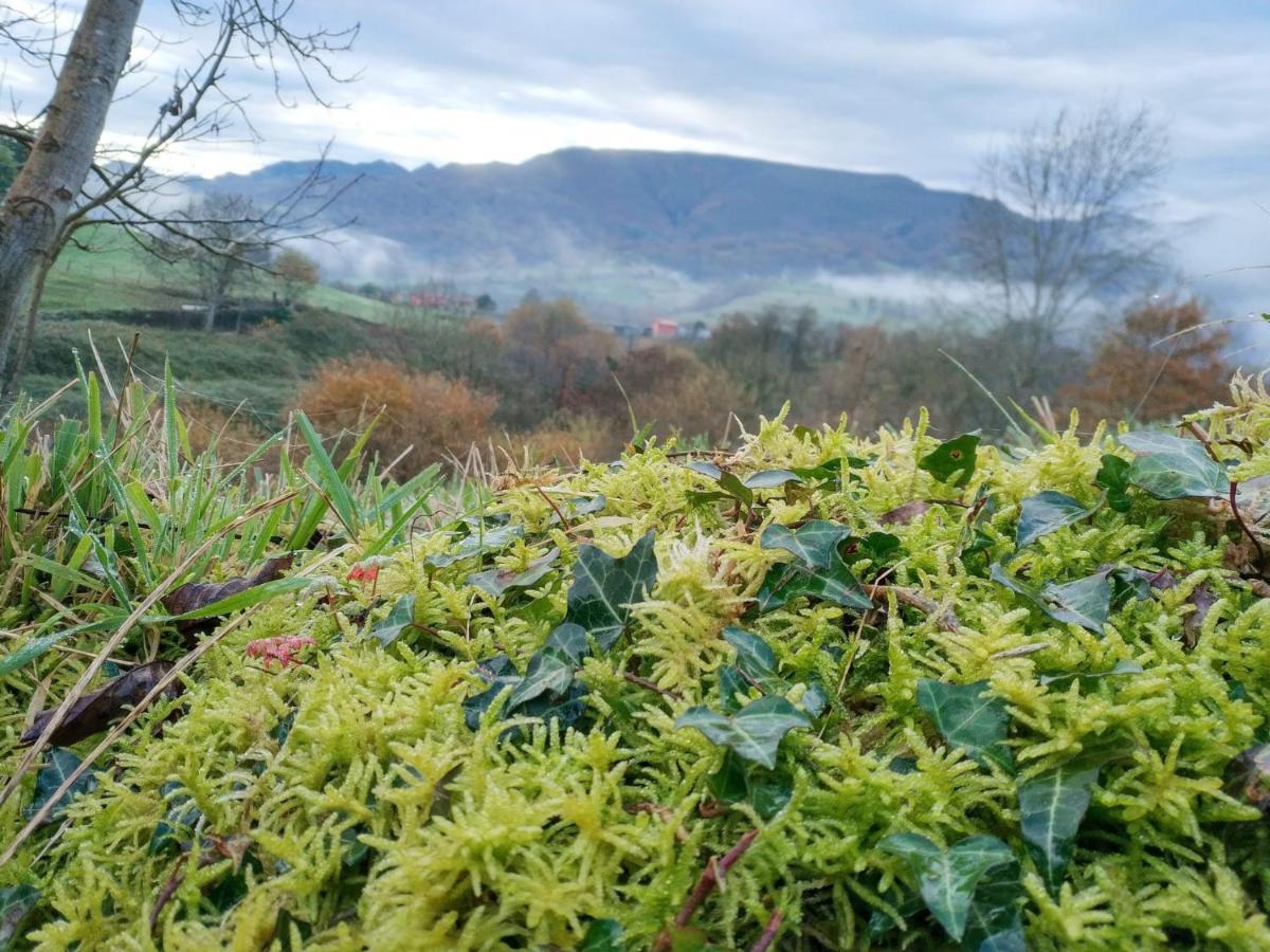 El Balcon Del Horreo Villa Piloña Buitenkant foto